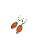 Orecchini Domar Donna Ambra in Argento Ambra AMBER-OR-9-280 - AMBER-OR-9-280